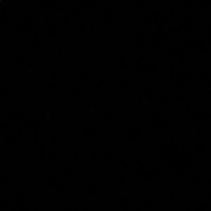 Meet your Posher, Terry